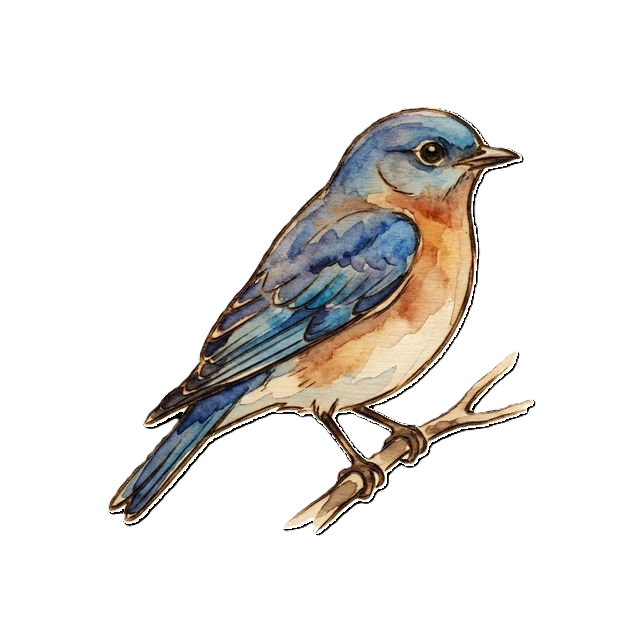 Bluebird Pyrography
